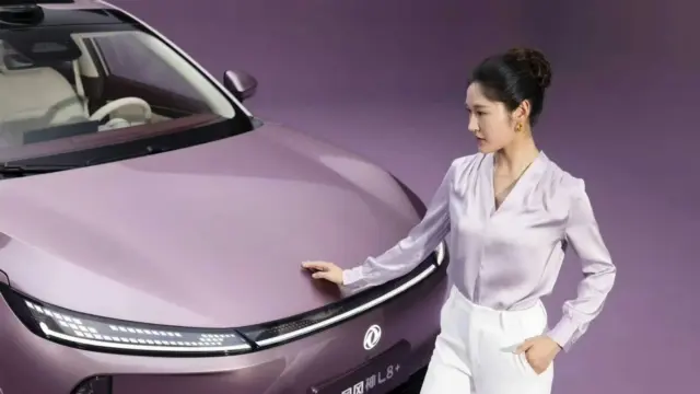 Dongfeng Forthing L8+ clientă