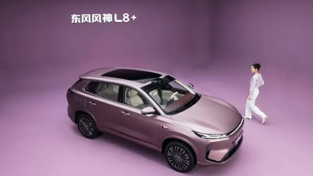 Dongfeng Forthing L8+ showroom