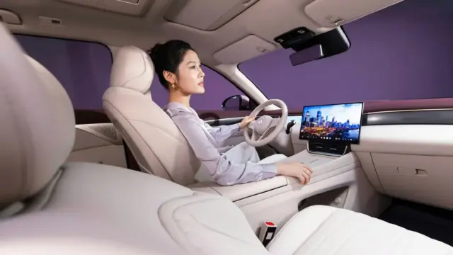Dongfeng Forthing L8+ șofer