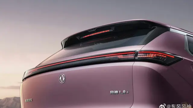 Dongfeng Forthing L8+ spate
