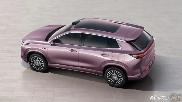 Dongfeng Forthing L8+ stânga sus