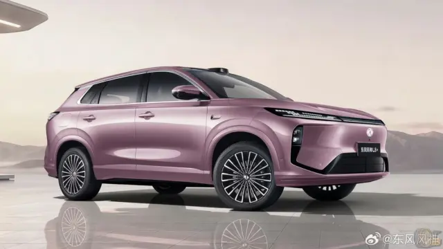 Dongfeng Forthing L8+ stânga
