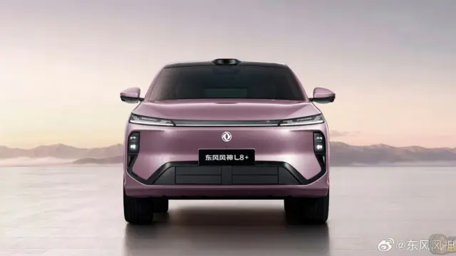 Dongfeng Forthing L8+