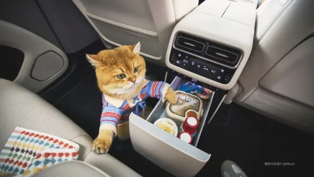 Li Auto i6 frigider