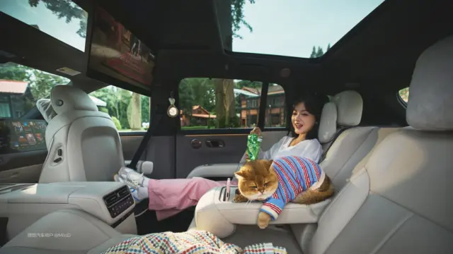 Li Auto i6 pisică
