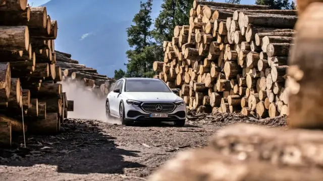 Mercedes-Benz disperare